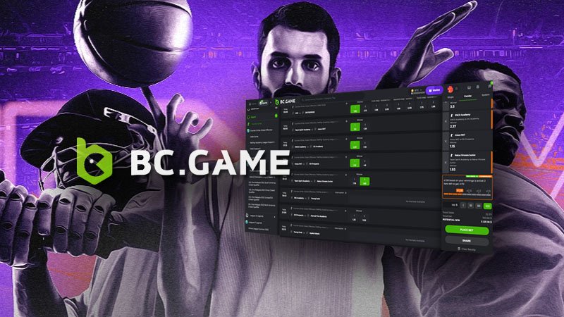 Understanding the BC.Game Login Process A Step-by-Step Guide -205914264