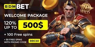 Nine Casino France: Informations Cles Avant de Commencer a Jouer